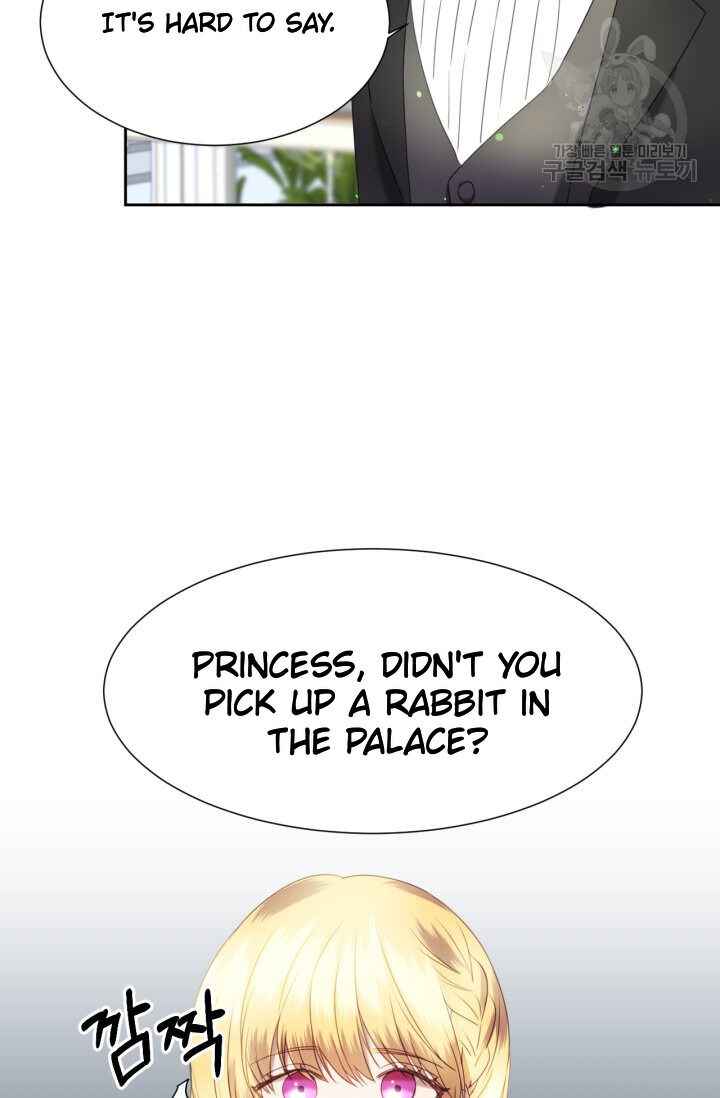 The Fake Princess' OP Bunny Chapter 13 47